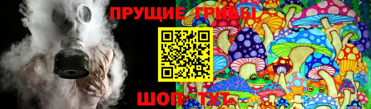 Галлюциногенные грибы Psilocybe Шадринск